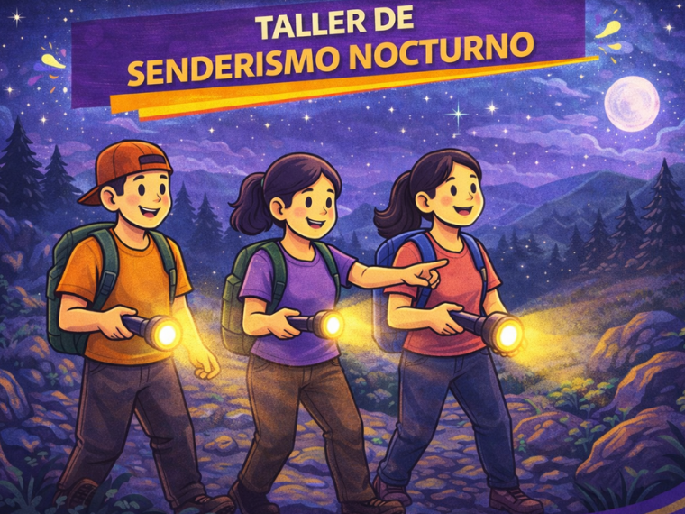 Senderismo Nocturno I